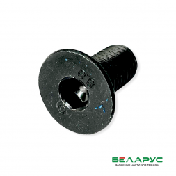 Болт (винт) М12х25 под шестигранник (Аналог) 8245-036-010-515 (крепления тарелки)